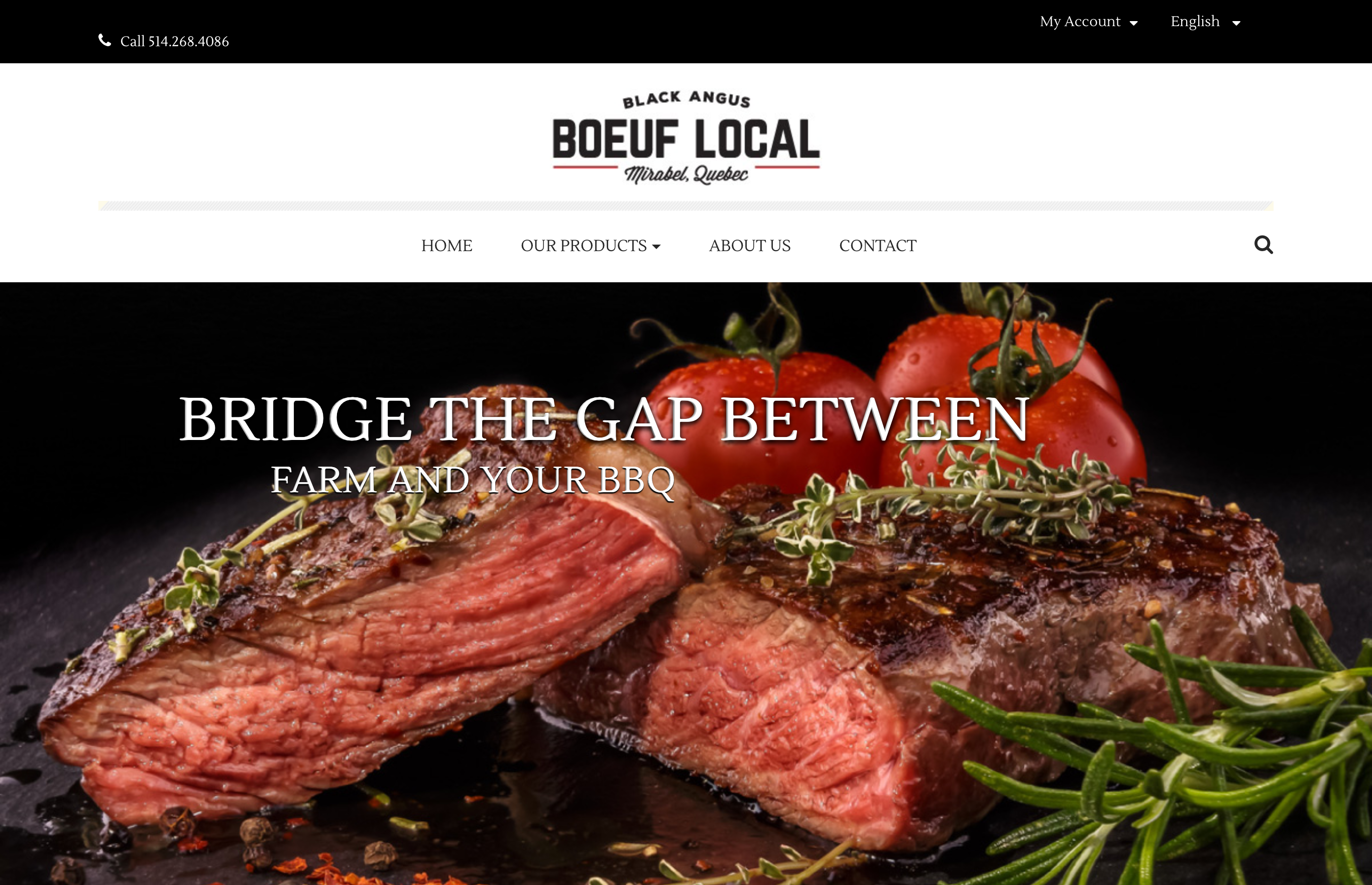 small business website design